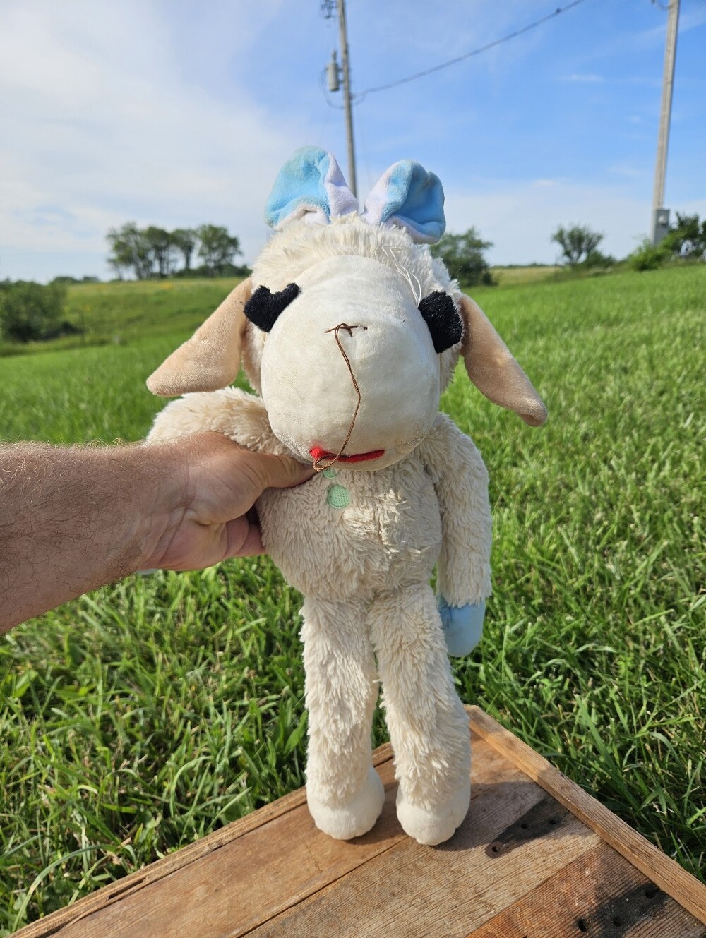 Lamb Chop The Legend DreamWorks plush toy #dreamworks #legend
